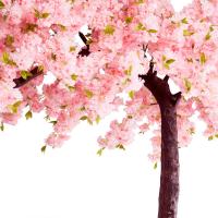 uploads/erp/collection/images/Home Garden/CongDing/XU0611192/img_b/XU0611192_img_b_5